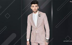 Zayn Malik - the famous English singer & songwriter